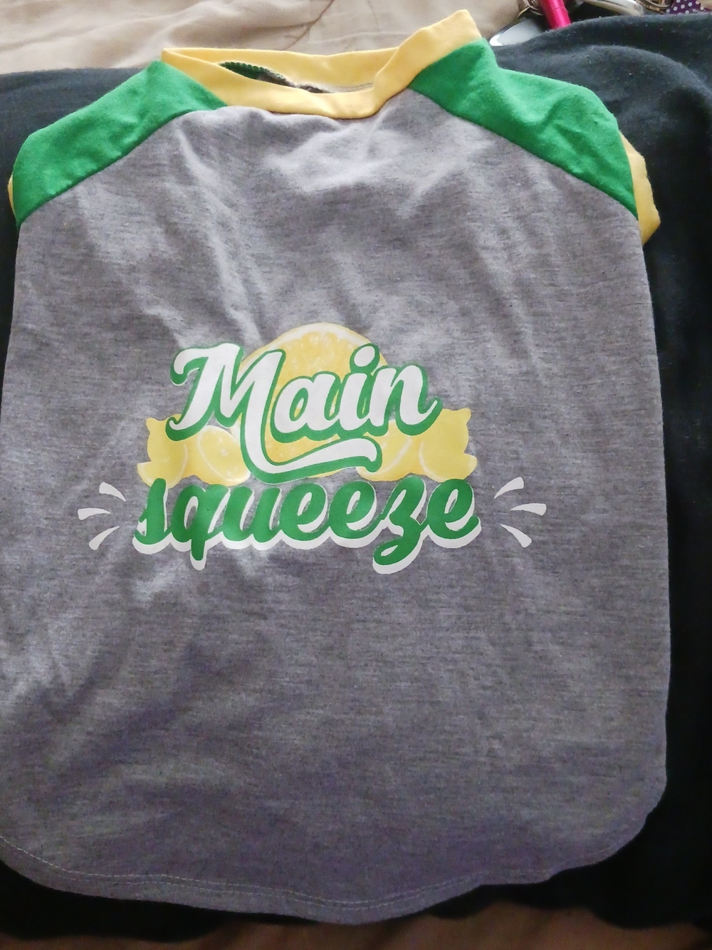 NWOT Main Squeeze Grey & Green Dog Tee